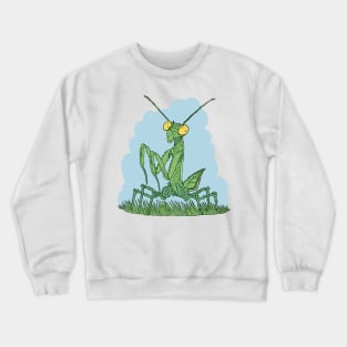 Praying Mantis Funny Insect Lover Crewneck Sweatshirt